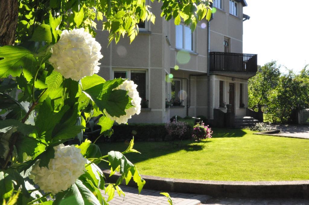 Elena Hotel Palanga Kültér fotó
